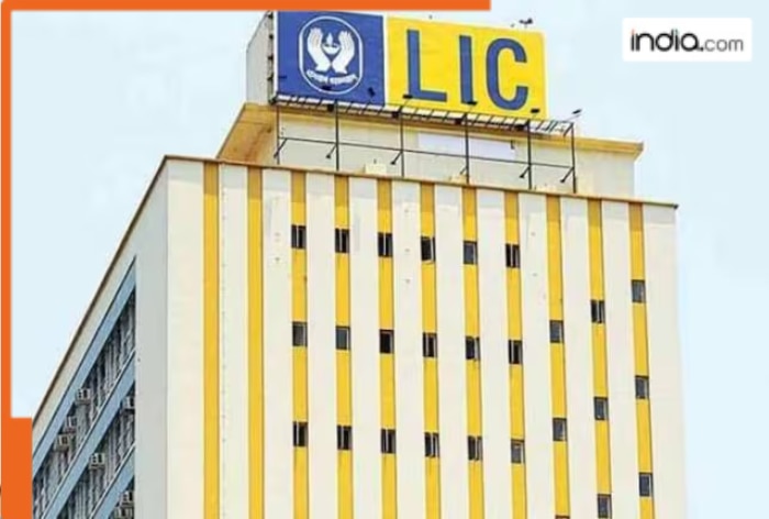 LIC-File-image.png