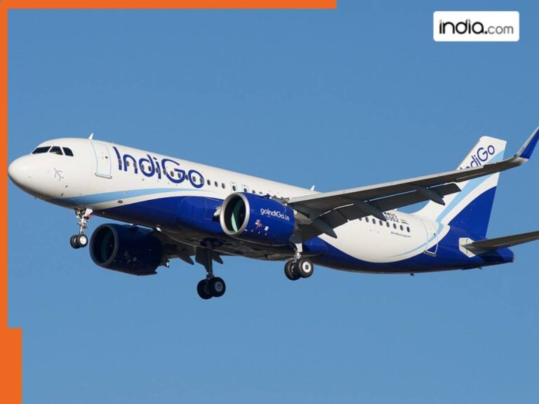 Indigo-plane.jpg