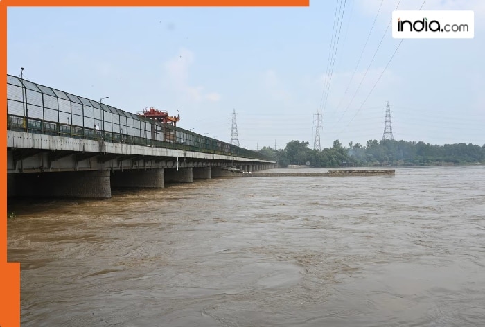 QT-Yamuna-River-BEFUN.jpg