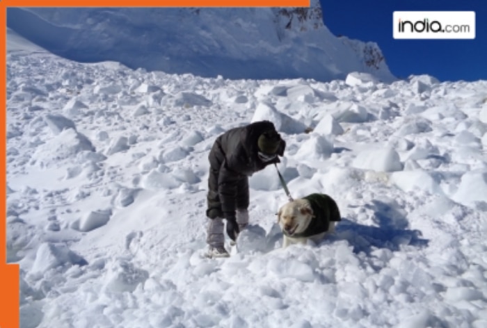 Three-soldiers-killed-in-Siachen-avalanche-Srinagar.png