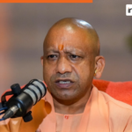yogi.png
