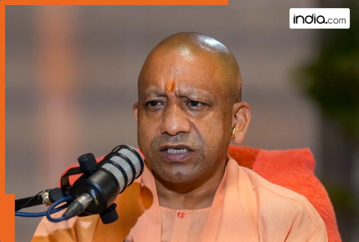 yogi.png